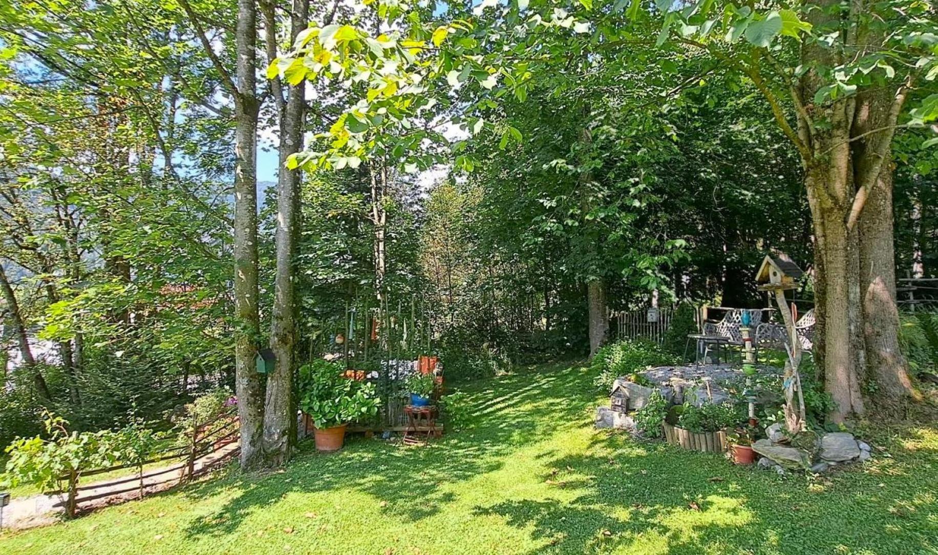Ferienhaus Lechner Fuer Max 10 Personen - Wald Und Naturgarten Abtenau Zewnętrze zdjęcie